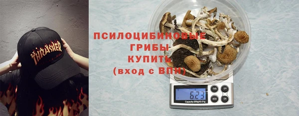 первитин Белокуриха