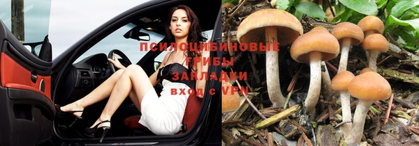 2c-b Богородицк