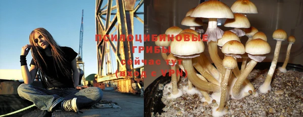 кокаин колумбия Богородск