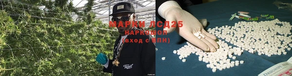 трава Богданович