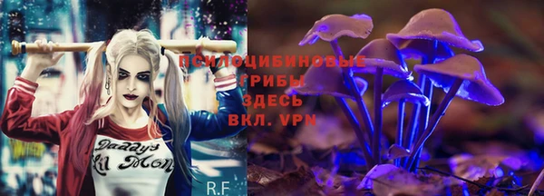 трава Богданович