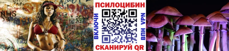 Галлюциногенные грибы Cubensis  Кольчугино 
